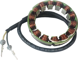 Rick's Motorsport Stator 21-039 - Picture 1 of 1