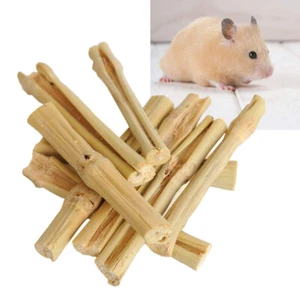 Pet Molar Snacks Small Pet Snacks Hamster Chew Toys Wood Sticks Chinchillas - Picture 1 of 11