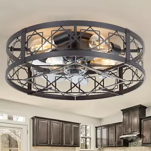 Caged Ceiling Fan with Light, 20" Ceiling Fan with Lights and Remote Flush Mount - Picture 1 of 8