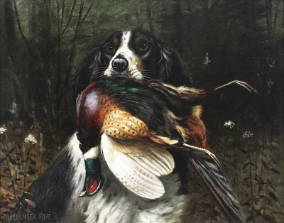 Impresión en lienzo Alexander Pope Jr Springer con faisán 16 x 20 Foto 1 de 4