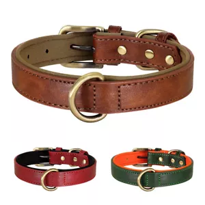 Hundehalsband Weiches Leder Verstellbar Halsband Lederhalsband Gepolstert S M L - Bild 1 von 21