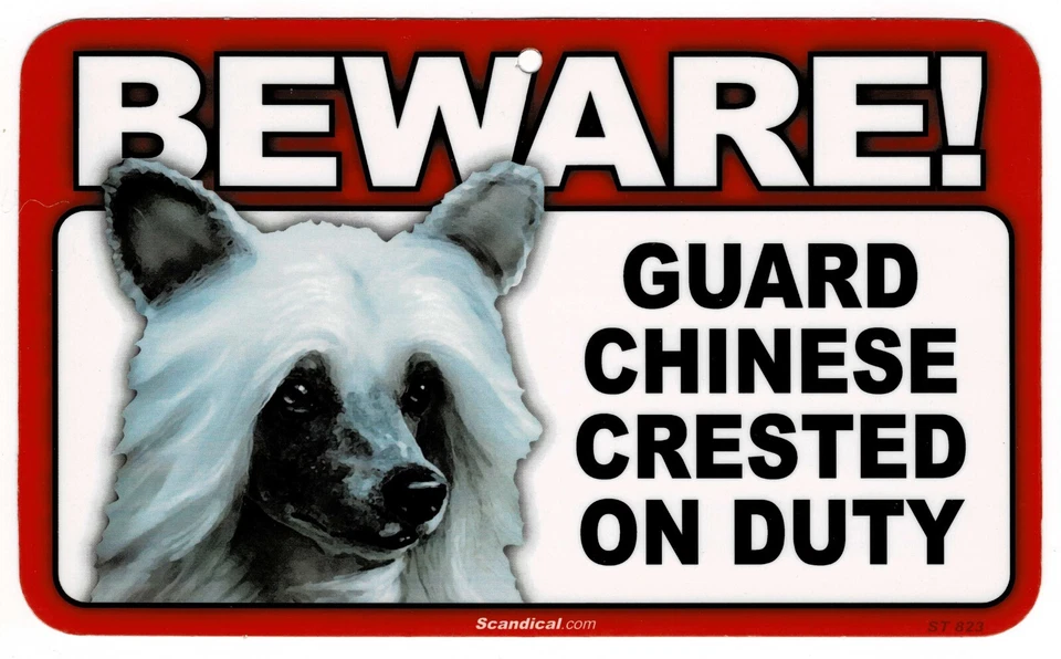 CUIDADO CON EL LETRERO LAMINADO RECTANGULAR CHINO CON CRESTA PERRO/MASCOTA. ENVÍO COMBINADO. Foto 1 de 1