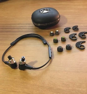 Jaybird Bluebuds X headphones (black) with travel case and accessory pack - Picture 1 of 4