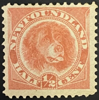 1888 #56 Newfoundland, Newfoundland Dog Rose Red 1/2 Cent Stamp, F-VF MH - Image 1 of 2