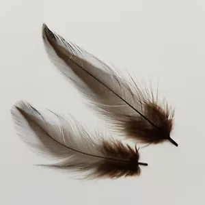 GALLO MARRONE / COCK HACKLE 50 PIUME FLYNSCOTSMAN TACKLE SCIOLTO SENZA MANTELLO - Foto 1 di 2