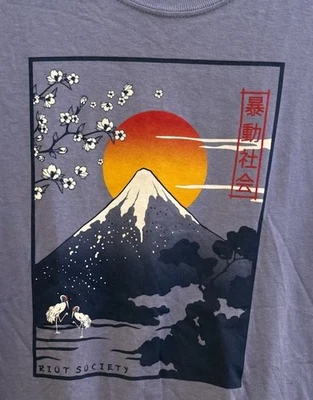 RIOT SOCIETY Mt. Светло-голубая футболка Fuji размер S - Изображение 1 из 4