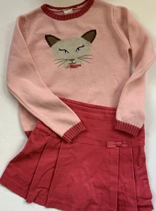 Gymboree HTF Teachers Pet Pink Cat Sweater & Skirt Set Size 6 - Picture 1 of 8