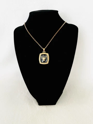 1991 Chicago Bulls Basketball Championship Pendant, 🇺🇸 SHIP, JORDAN Cover