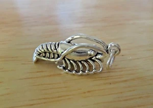 Sterling Silver 3D 22x14mm Solid Food Kitchen Shrimp Charm - Picture 1 of 5