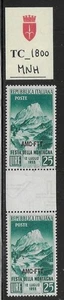 TC_1800. TRIESTE FTT. Gutter pairs of 25 Lire 1953 "FESTA MONTAGNA". MNH - Picture 1 of 1