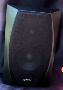 Infinity OWS-1 Speaker - Picture 1 of 5