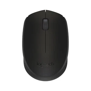 Logitech 910-004798 817255 B170 RF Wireless Laser Black B170, Ambidextrous, ~E~ - Bild 1 von 1