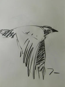 JOSE TRUJILLO Contemporary SIGNED ORIGINAL CHARCOAL DRAWING BIRD FLYING FLIGHT - Picture 1 of 8