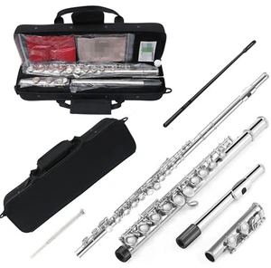16 Hole Flute C key Closed Hole Nickel Silver Flute With Rod Case Glove Cleaning - Bild 1 von 10