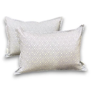 2 Tommy Bahama Decorative Throw Pillow Set Geometric Floral Indoor Outdoor 20" - Picture 1 of 7