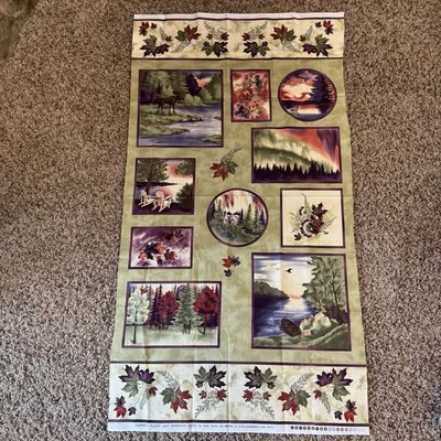 Connecting Threads Summer Nights Northern Lights Cotton Quilting Fabric Panel - Image 1 of 4