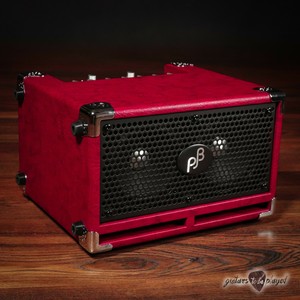 Las mejores ofertas en Amplificadores para guitarra Phil Jones Bass Combo |  eBay