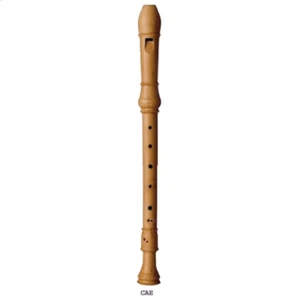 Coolsma Solo European Boxwood Alto (TREBLE) Recorder - Cae - Picture 1 of 1