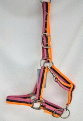 Catago Nylonhalfter Neon Farben Winter Shetty Pony Full, X-Full, Winter Halfter