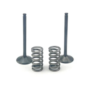 KIT EX VALVE+SPRING YZF450, PROX 28.SES2444-1 - Picture 1 of 2