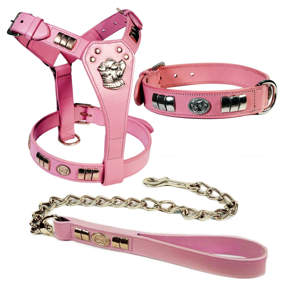 Pink Leather Dog harness collar and chain lead set for staffy dog silver fitting - Image 1 of 1