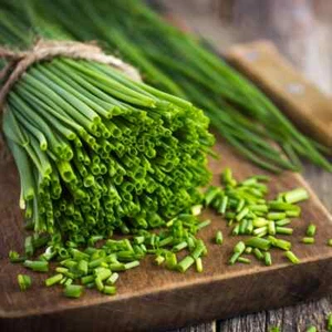 Easy To Grow Your Own Chive Herb Garden Seeds Fresh Vegetables Fruit Herbs - Picture 1 of 3