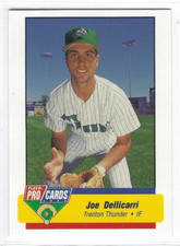 1994 Trenton Thunder (Class AA-Detroit Tigers) Joe Dellicarri