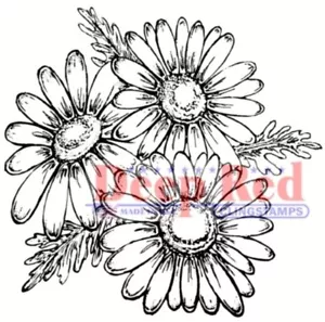 Deep Red Stamps Daisies Rubber Cling Stamp - Picture 1 of 3