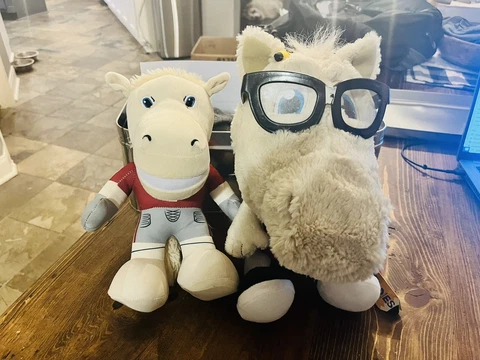 Oklahoma Sooners Study Buddy & Boomer Mascot Plush Cover