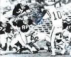 Colorado Buffaloes Legend Dick Anderson Signed 8X10 All American Miami Dolphins