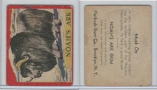 R100 Flatbush Gum, Noah's Ark, 1933, Musk Ox