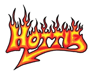 Flammende HOTTIE Temporäre Tattoos - HEISS - 2er Pack - HERGESTELLT IN DEN USA! - Bild 1 von 1