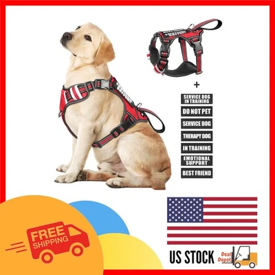 Adjustable Service Dog Vest with Soft Padded Handle & Reflective Safety Features - Image 1 of 4