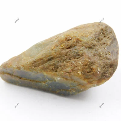 Uncut Raw Multicolor Sapphire Rough 603.65 Ct Natural Loose Gemstone CERTIFIED - Image 1 of 4