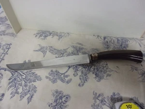 Vtg. Lucite? Handled Kitchen Carving Knife - Picture 1 of 7
