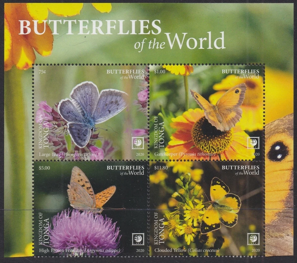 Tonga (2020) Butterflies of the World, Part I, Large Stamp - BK/4, Top - Image 1 of 1