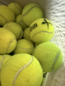 25 USED Tennis Balls - Dog Chews Walkers Cricket Backyard Games - Mixed Brands - Picture 1 of 3