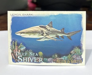 2021 Topps Allen & Ginter #DSS-7 Lemon Shark Deep Sea Shiver - Picture 1 of 2