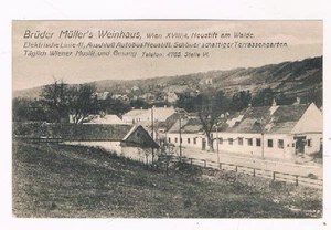 Wien XVIII,  Neustift a. W.,  Weinhaus Müller, 1919 - Picture 1 of 2