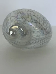 Exotic Snail Shaped Glass Sea Shell Desktop Paperweight - Picture 1 of 10