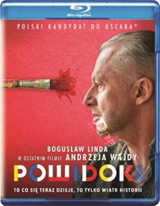 Afterimage NEW Arthouse Blu-Ray Disc Andrzej Wajda Boguslaw Linda - Imagen 1 de 1