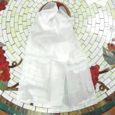 Bufandas de seda en blanco para teñir, Dharma Trading Co., $25,99, UPC: 2692384882788 Foto 1 de 4