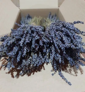 Greek Dried Lavender Bunch 1200 stems 300*4 bunches 32cm Organic Harvest 2025 - Picture 1 of 12