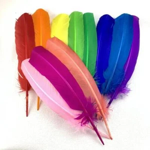 100 piezas plumas de pavo por plumas de ala 28-33 cm/11-13 pulgadas pluma blanca carnaval - Imagen 1 de 30