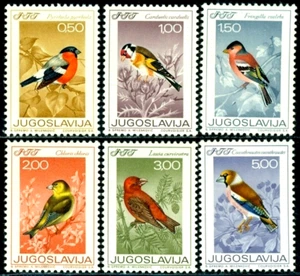 1968 Birds, fringuelli, fringuelli, fringuelli verdi, uccellini, Jugoslavia, M.1274, nuovo di zecca - Foto 1 di 2