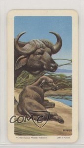 1967 Brooke Bond Red Rose Animals and Their Young Tea African Buffalo #44 1md