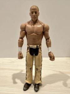 2010 WWF WWE Mattel HBK Shawn Michaels Basic Wrestling Figur braun hellbraun - Bild 1 von 6