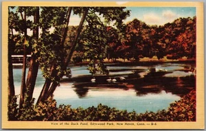 Postal New Haven Connecticut Vista del Pato Estanque Edgewood Park - Imagen 1 de 2