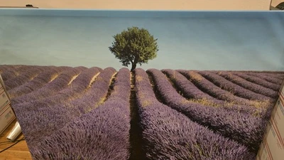 Cuadro IKEA BJORKSTA Lienzo Campo Lila Púrpura Flores Marco Grande 55x39 1/4" Foto 1 de 4