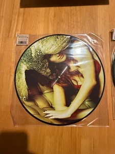 Siobhan Donaghy Don't Give It Up 12" Picture Disc Vinyl 2007 - Picture 1 of 2